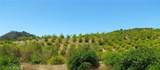 5 De Anza Road - Photo 31