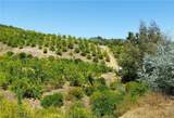 5 De Anza Road - Photo 38
