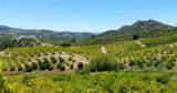 5 De Anza Road - Photo 4