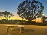 426 Treble - Photo 67