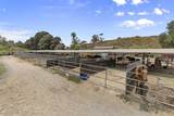 13998 Old El Camino Real - Business - Photo 10