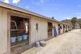 13998 Old El Camino Real - Business - Photo 13