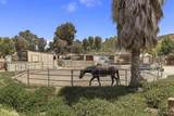 13998 Old El Camino Real - Business - Photo 24