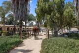 13998 Old El Camino Real - Business - Photo 29