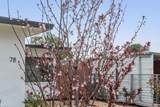 78 Nancy Drive - Photo 8
