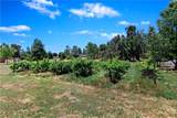 17370 Rodeo Road - Photo 44