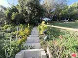 273 Starbird Drive - Photo 35
