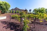 41770 Knoll Vista Lane - Photo 53