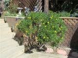 31388 Sierra Linda Street - Photo 32