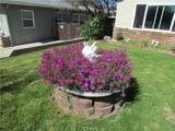 31388 Sierra Linda Street - Photo 34