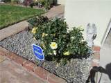 31388 Sierra Linda Street - Photo 36