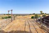 2245 Rancho Lomas Way - Photo 46