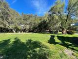 31601 Via Conejo - Photo 26