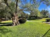 31601 Via Conejo - Photo 27