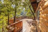 36865 Dormody Road - Photo 16