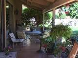 69940 Los Cocos Court - Photo 30