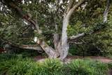 77 Flood Circle - Photo 18