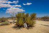 55921 Ornelas Lane - Photo 35