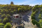 6555 Martinique Drive - Photo 1