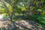 1109 Via La Cuesta - Photo 43