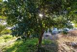 1109 Via La Cuesta - Photo 44