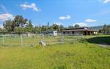 13575 Mammini Court - Photo 44