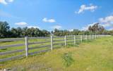 13575 Mammini Court - Photo 49