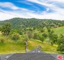 29300 Horsethief Drive - Photo 16