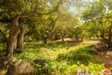 405 Toro Canyon Road - Photo 71