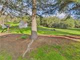 42177 Lone Olive - Photo 32