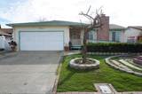 35037 Begonia Street - Photo 1