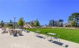105 Culture - Photo 28