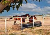 26701 Blue Water Road - Photo 20