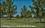26701 Blue Water Road - Photo 9