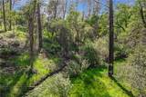 9200 Silver King Road - Photo 11