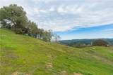 1115 Cypress Mountain Drive - Photo 12