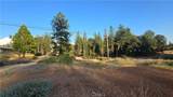 13597 Park Drive - Photo 2