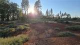 13597 Park Drive - Photo 7