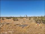 0 Middleton Avenue - Photo 10