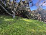 12000 San Marcos - Photo 6