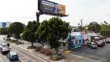 12513 Venice - Photo 38