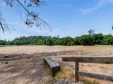 1535 Parkhill Road - Photo 35
