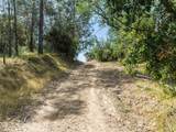 1535 Parkhill Road - Photo 45