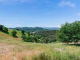 1535 Parkhill Road - Photo 48