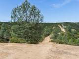 1535 Parkhill Road - Photo 51