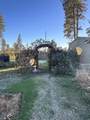12168 Granite Ridge Road - Photo 16