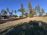 12168 Granite Ridge Road - Photo 19