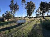 12168 Granite Ridge Road - Photo 21