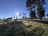 12168 Granite Ridge Road - Photo 3