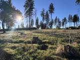 12168 Granite Ridge Road - Photo 4